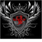 E.S.O cadet program