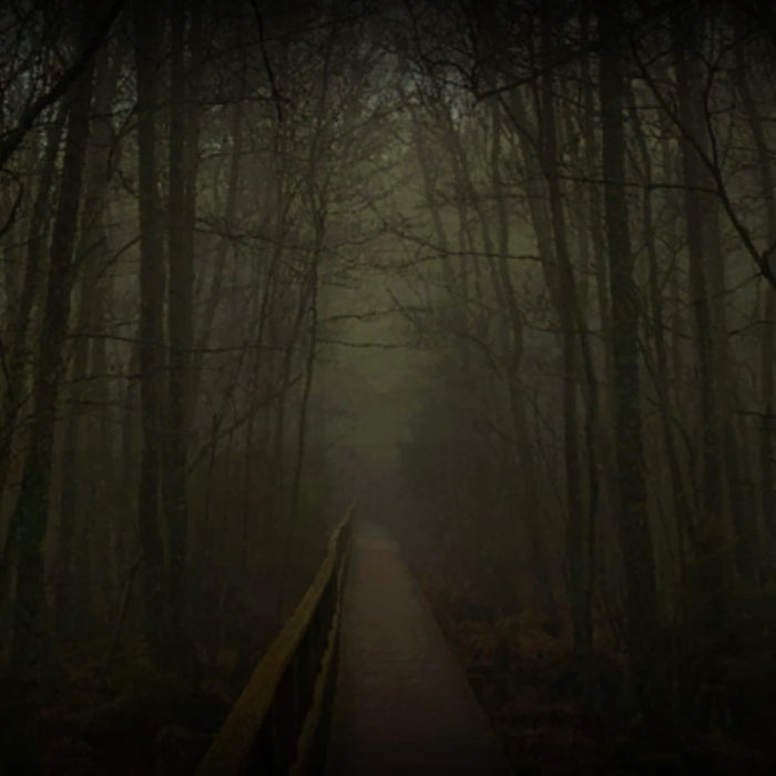 Eerie mystrious forest bridge