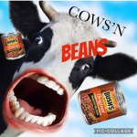 Cows’ N beans