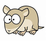 Rats & Nice humans that support (rats) Only!!!!!!!