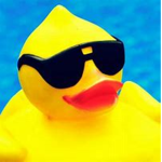 Ducky MeMe Studio