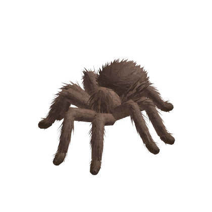 Tarantula Animated (Brown)