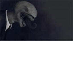 Slender The ##### pages