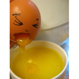 eggy.base