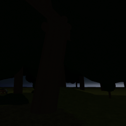 Field