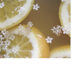 Lemons Love