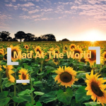 Mad At The World