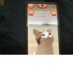 Appi的聊天群