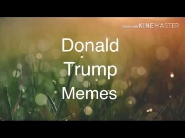 2 Player Meme Tycoon