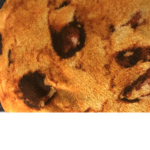 COOKIE GC