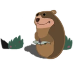 Bear Chomik