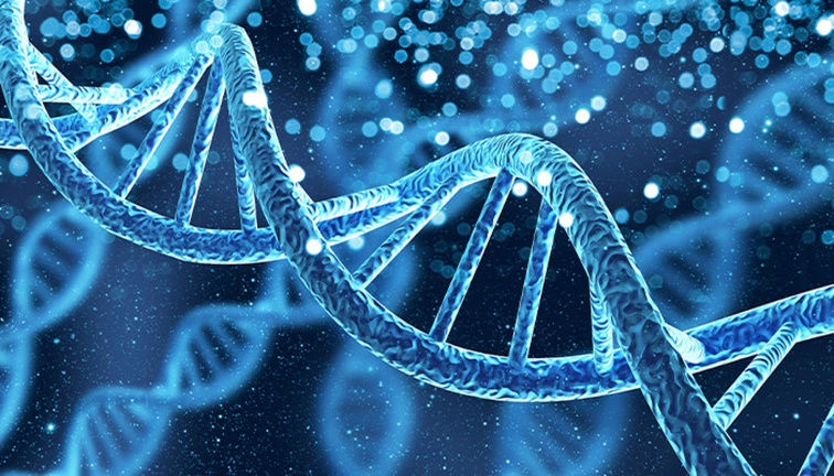NEW DNA EVENT