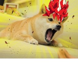 cave of shiba (beta)