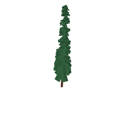 Pine tree