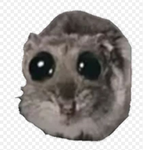 ClutchX_rs