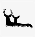The Hunt Game Community