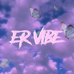 ER VIBE icon