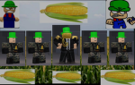 The corn land