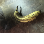 Go bananas go go bananas