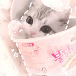 Yumiixzhinx’s ugc