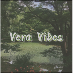 Vera Hangout