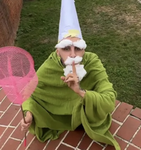 THE SIGMA GNOMES