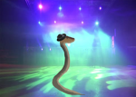 ~Snakes with fedoras~