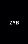 Zyb