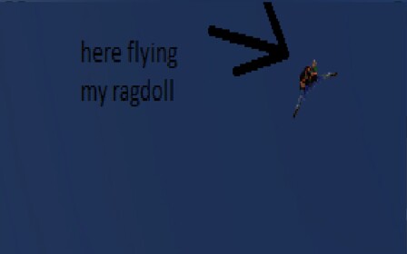 Group Ragdoll Testing Place