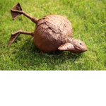 The dieing ducks
