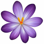 Blooming Productions