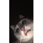 bruh FFF JK