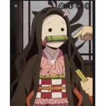 The (Demon slayer fan club)