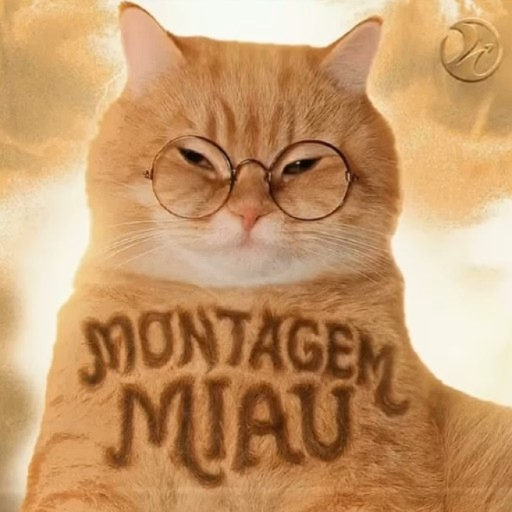 Montagem Miau Tower 🎵