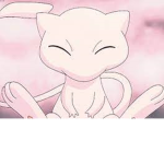 mews clothes
