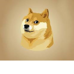 Doge Empire Vibe Club