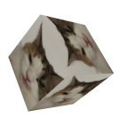 Floating Cat Cube