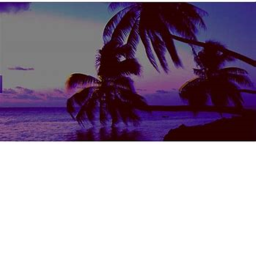 Oof's Vibe Place