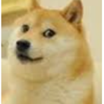 Dogey Studios
