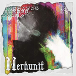NERDUNIT