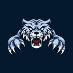 HyperTigers