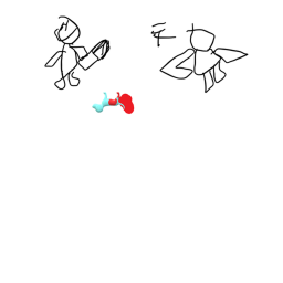 RUN