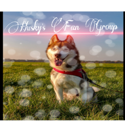Huskyz Clothing. Co. Home store.
