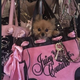 ♡