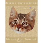 Cute cats of joy George and sootie