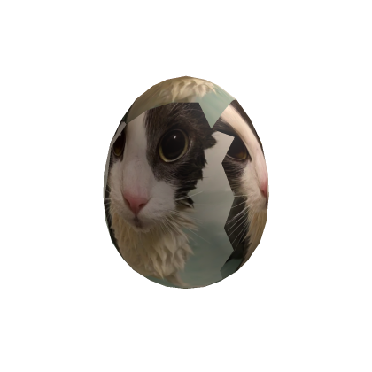 soggy cat egg