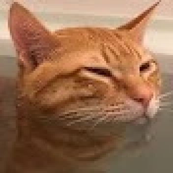 Project:DwwT (OPEN ALPHA)