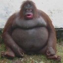 RUN FROM UH OH STINKY! (OBBY)