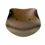 LizardRBLX Corp