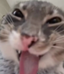 ~*Konichiwa*~